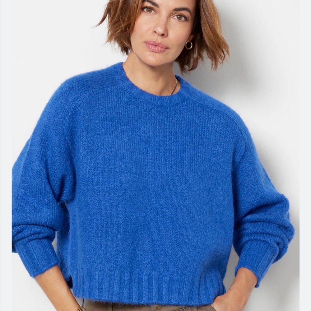 NWOT PISTOLA cobalt adina sweater Large
